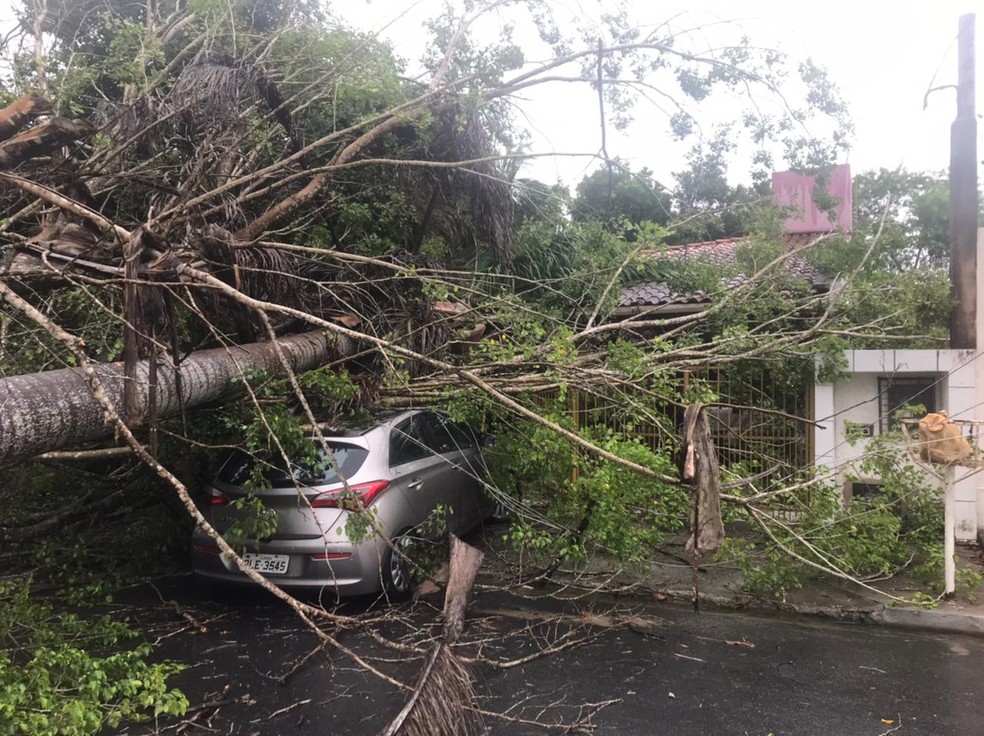 Árvores gigantes caíram em cima de um veículo e destruíram parte do telhado da casa — Foto: Ascom/ CBMAL