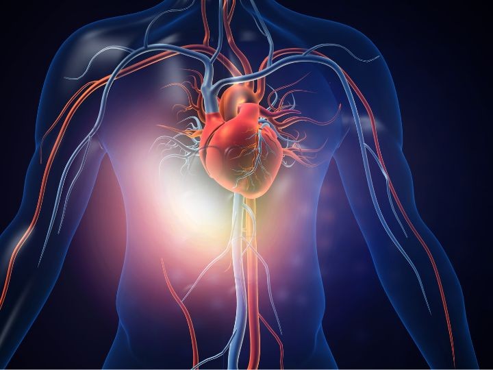 Descoberta inovadora tem o potencial para se tornar uma poderosa estratégia clínica para o tratamento de doenças cardíacas (Foto: Reprodução/IStock)