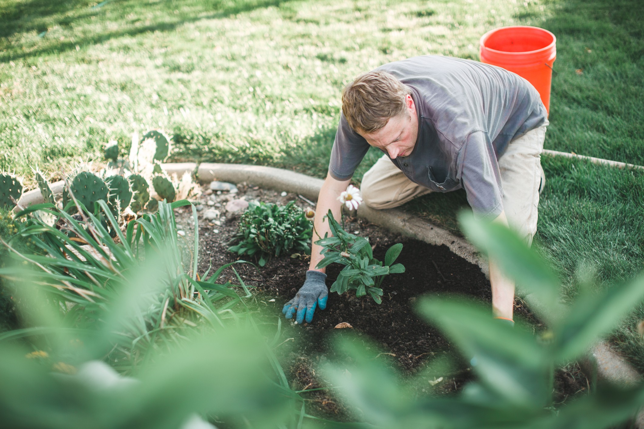 Man plants a plant in a garden on a warm fall day. (Foto: Getty Images)