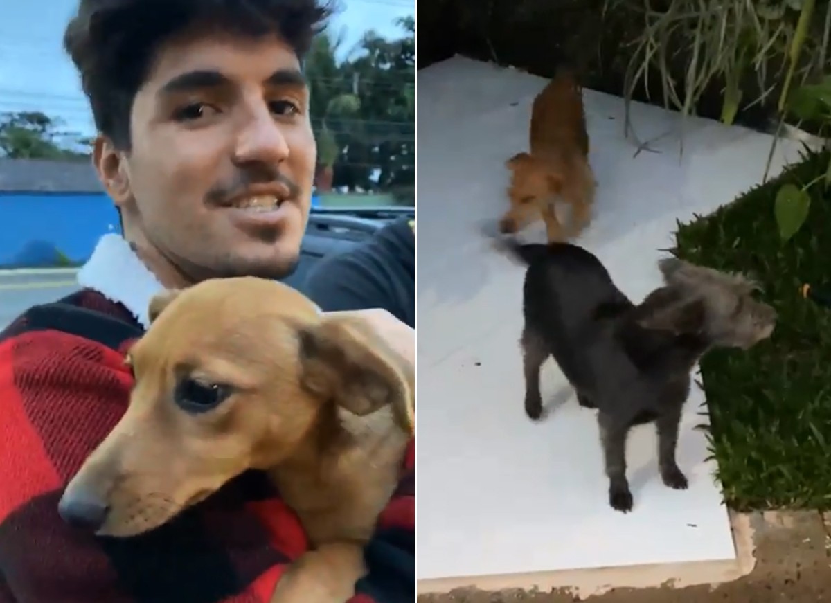 Gabriel Medina e Yasmin Brunet adotaram dois cachorros (Foto: Reprodução / Instagram)