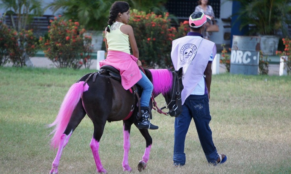Parque Aristófanes Fernandes, em Parnamirim, abre a partir deste domingo para a população (Foto: Divulgação/Anorc)