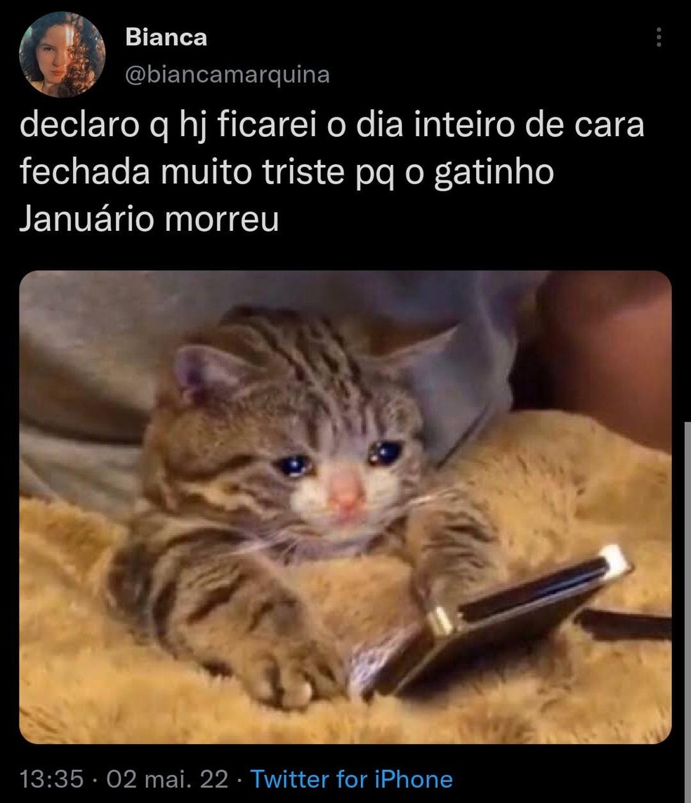 Usuários lamentam morte de Januário no Twitter. — Foto: Reprodução