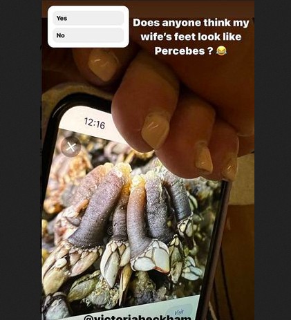 David Beckham comparou os dedos do pé da esposa Victoria Beckham ao crustáceo conhecido pelo apelido de Dedos de Lúcifer (Foto: Instagram)