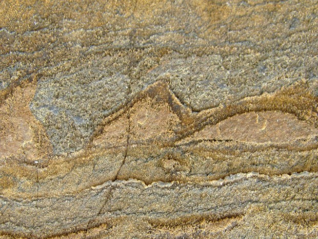 Cientistas australianos revelam a existência de fósseis que datam de ao menos 3,7 bilhões de anos (Foto: Allen Nutman/University of Wollongong/AP)
