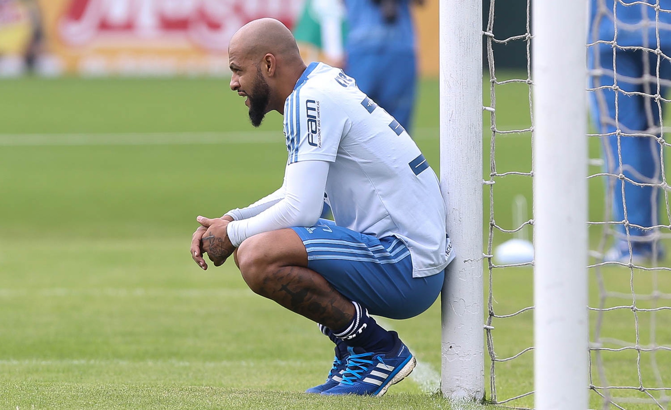 Por expulsão, Felipe Melo tem reuniões com Felipão e Mattos no Palmeiras