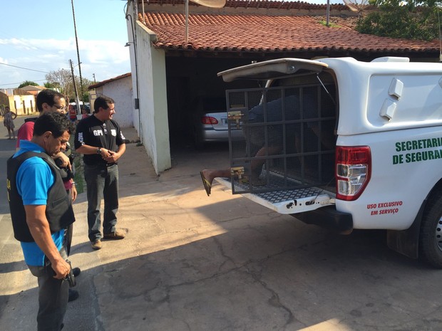 Homem suspeito de chacina em Madeiro é transferido para Teresina (Foto: Divulgação/Polícia Civil)