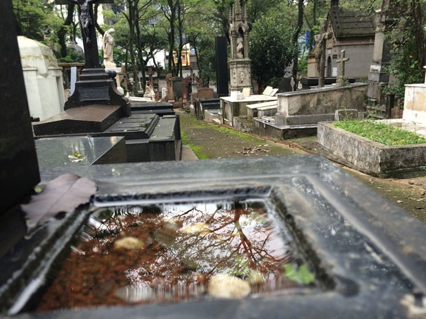 Cemitério da Consolação tem focos de reprodução do mosquito da dengue (Foto: Paula Paiva Paulo)