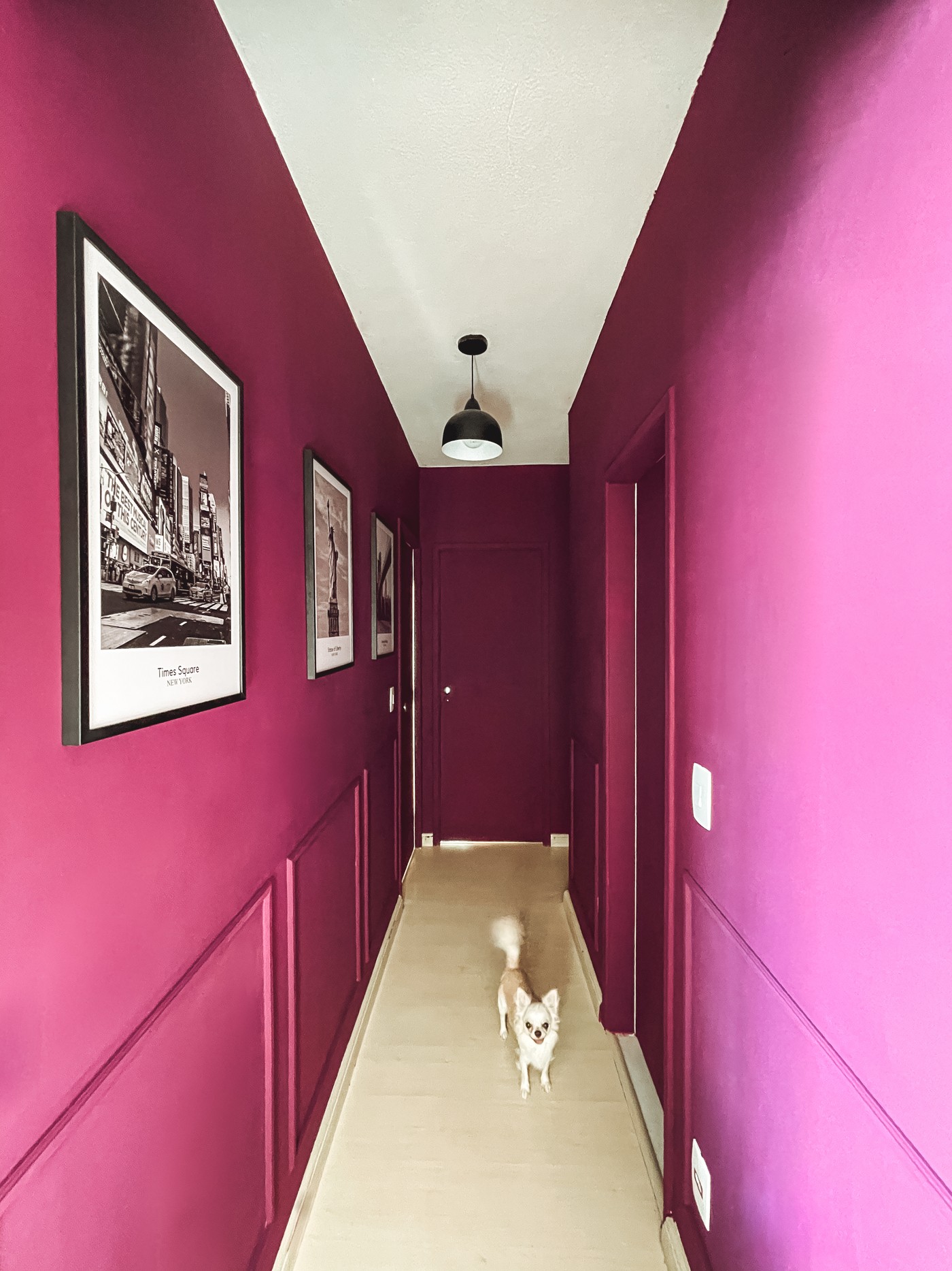 Décor do dia: corredor púrpura com toque retrô (Foto: Juliano Lopes)