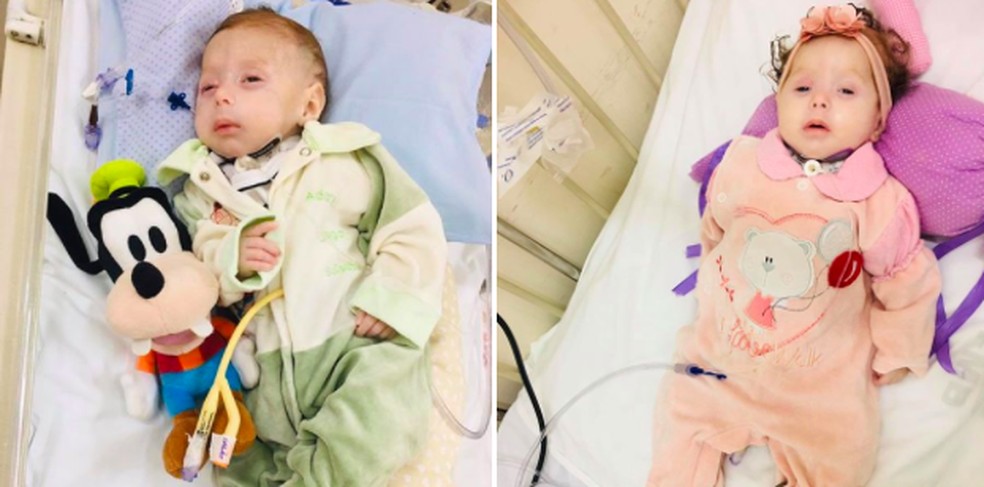 Ação arrecadou insumos para gêmeos com 'erro' no metabolismo manterem tratamento em casa — Foto: Arquivo pessoal/Talita Cavalari