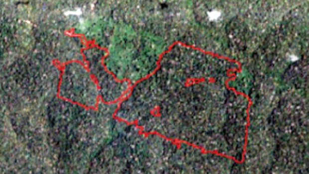 Esta imagem de satélite mostra um dos trechos de floresta que recebeu um alerta do Imazon. Está identificado no mapa acima com o ponto verde, e mostra a situação da floresta no dia 8 de outubro de 2018 (Foto: IMAZON VIA BBC)