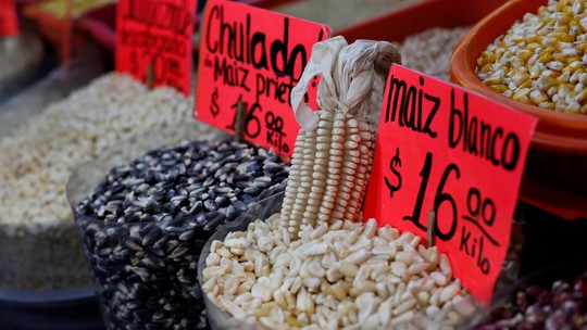 EUA falam em 'graves preocupações' com biotecnologia agrícola do México