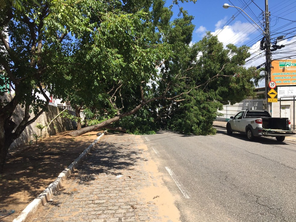 Queda aconteceu na manhã deste domingo na Avenida Romualdo Galvão. — Foto: Pedro Trindade/Inter TV Cabugi