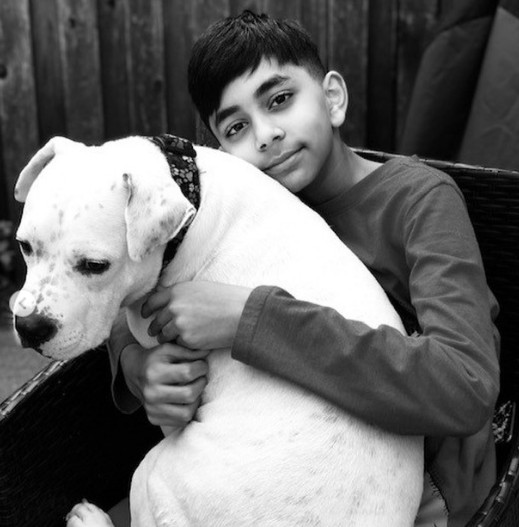 Evan, de 11 anos, inovou para ajudar na adoção de cães durante a pandemia (Foto: Reprodução/Instagram/todayshow)