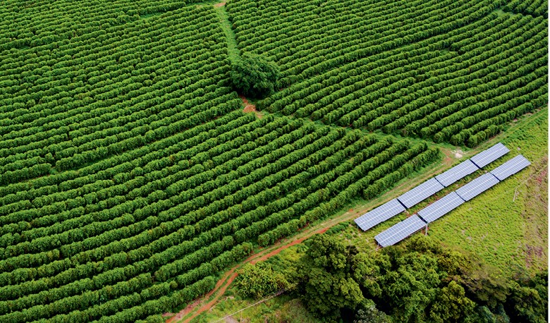 Fazenda Pinhal: Os painéis de energia solar tornaram a fazenda autossuficiente (Foto: Rogerio Albuquerque)