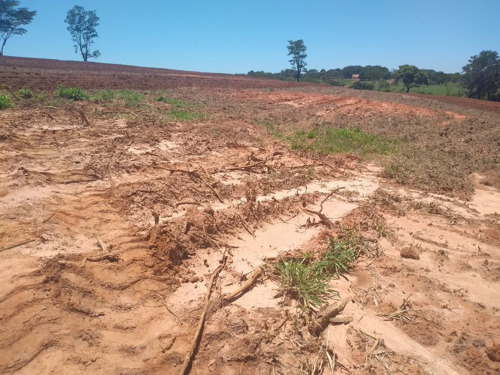 Fazenda em Osvaldo Cruz foi autuada em R$ 5,2 mil por degradações ambientais — Foto: Polícia Ambiental 