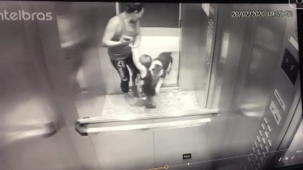 Buldogue invade elevador e ataca bebê dentro de condomínio em Belém — Foto: Reprodução/TV Liberal