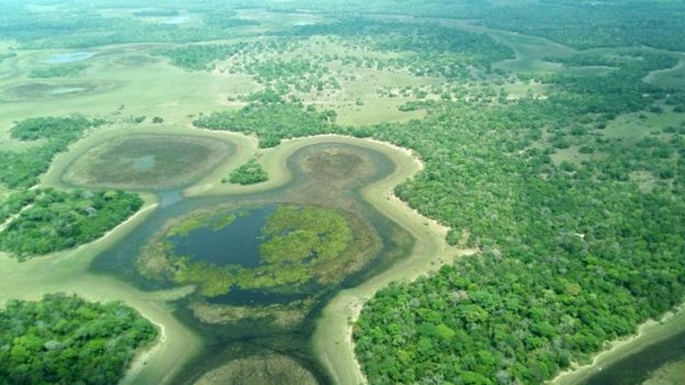 Pantanal é a área úmida mais extensa de todo o planeta — Foto: Instituto SOS Pantanal/Divulgação