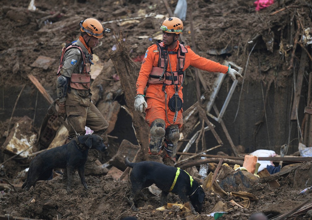 Bombeiros utilizam cachorros nas buscas por sobreviventes no Morro da Oficina, em Petrópolis (RJ) — Foto: Carl de Souza/AFP