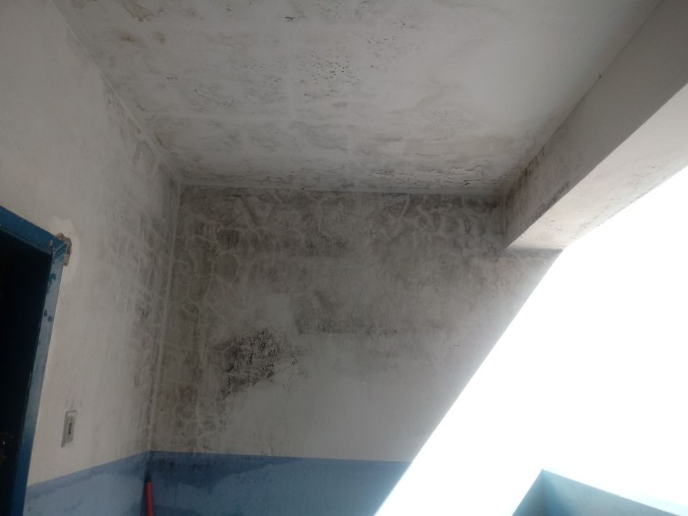 Mofo em paredes e teto — Foto: Ascom/Sindpol