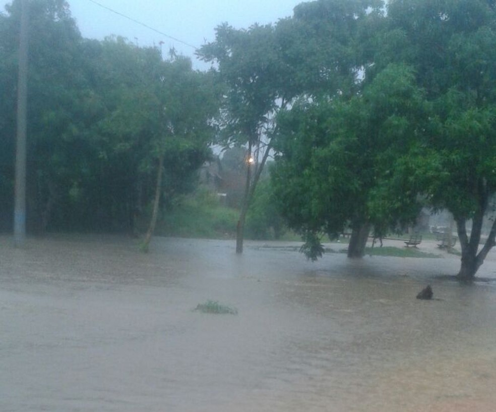 Cidade teve diversos pontos alagados  (Foto: Arquivo Pessoal )