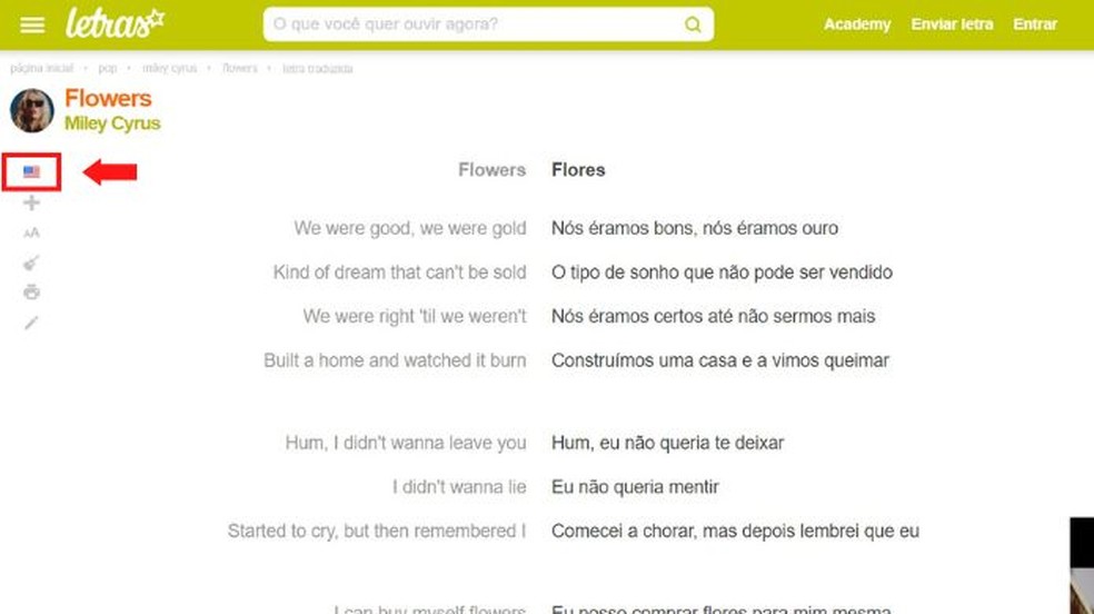 Confira a letra e a tradução de Flowers no site Letras — Foto: Reprodução/Thaisi Carvalho