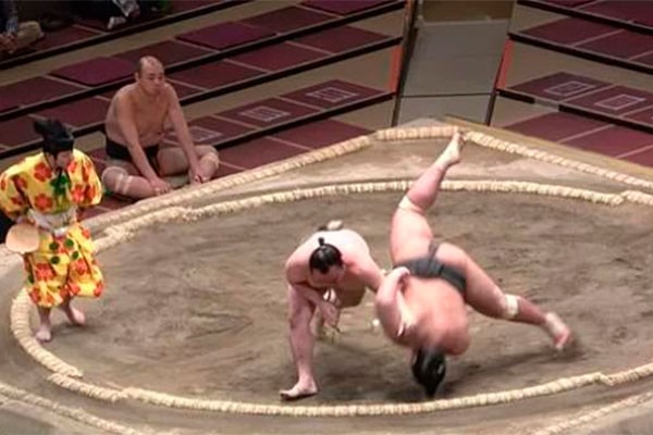 Momento da queda do lutador de sumô Hibikiryu (Foto: reprodução Twitter)