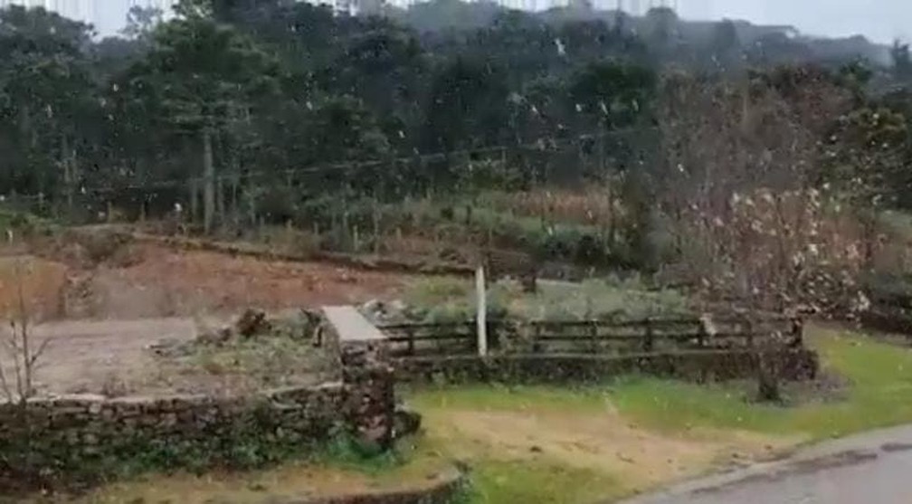 Epagri/Ciram, órgão que monitora o tempo em SC, conformou o registro de neve no Estado nesta segunda-feira (28) — Foto: Marcelo Chiodelli/Arquivo Pessoal
