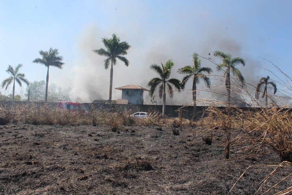 Terreno em frente ao p&aacute;tio tamb&eacute;m foi incendiado (Foto: Pedro Bentes/ G1)