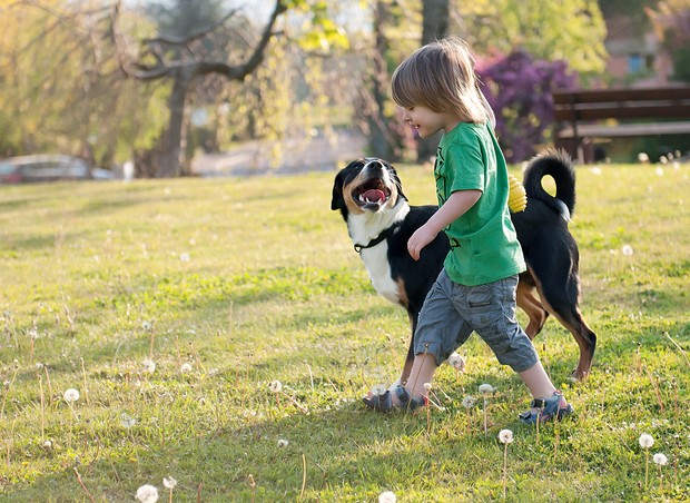 menino; cachorro; parque; brincando (Foto: Zoe Bailey Photography / Getty Images)
