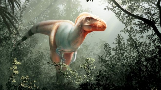 'Ceifador da Morte': a nova espécie de tiranossauro descoberta no Canadá thumbnail