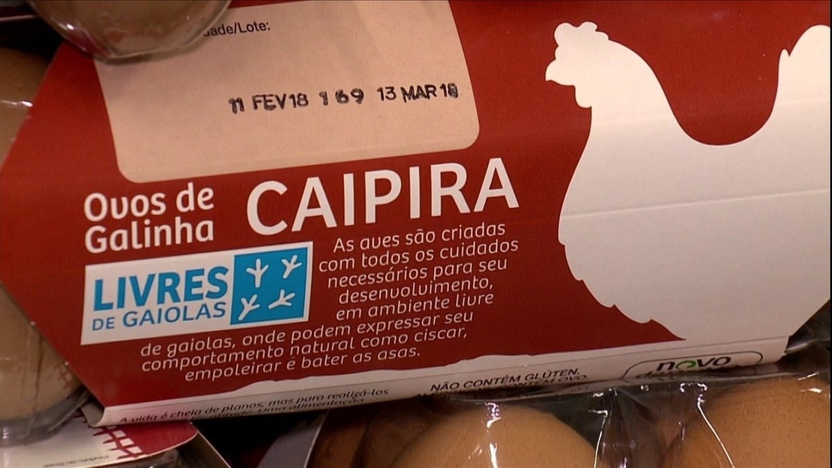 Granja amplia oferta de ovos de galinhas livres com integração de produtores Globo Rural G1