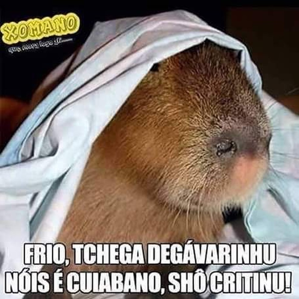 Tempo frio em Cuiabá se tornar motivo de memes nas redes sociais — Foto: Reprodução