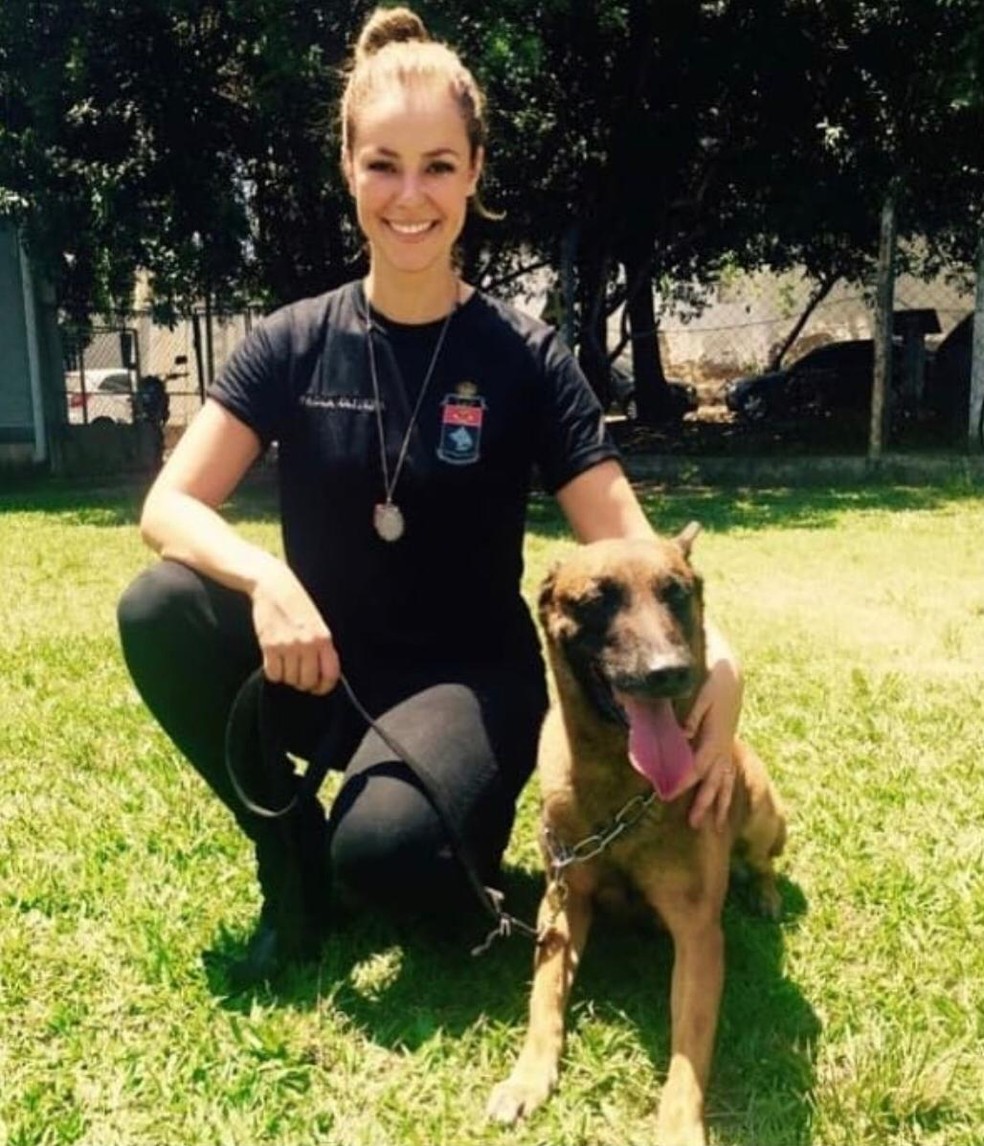 O cachorro policial Aeron contracenou com a atriz Paolla Oliveira na novela 'A Força do Querer' — Foto: Reprodução/Redes sociais
