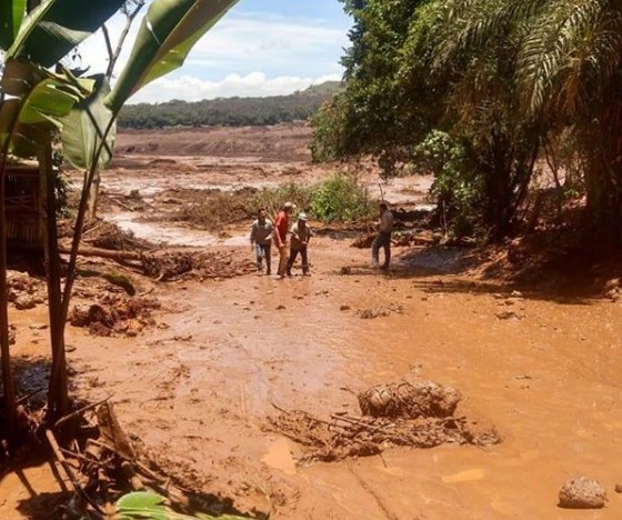 Resultado de imagem para Brumadinho