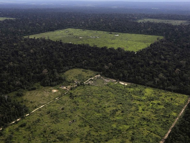Recortes de desmatamento feitos para uso na agricultura perto de Santarém (PA). Os fotógrafos Nacho Doce e Ricardo Moraes, da agência Reuters, viajaram pela Amazônia registrando várias formas de desmatamento. Foto de 20/4/2013. (Foto: Nacho Doce/Reuters)