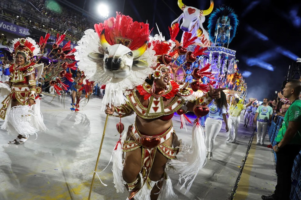Nas alas, brincantes se vestiram com a indumentária dos bois.  — Foto: Reuters. 