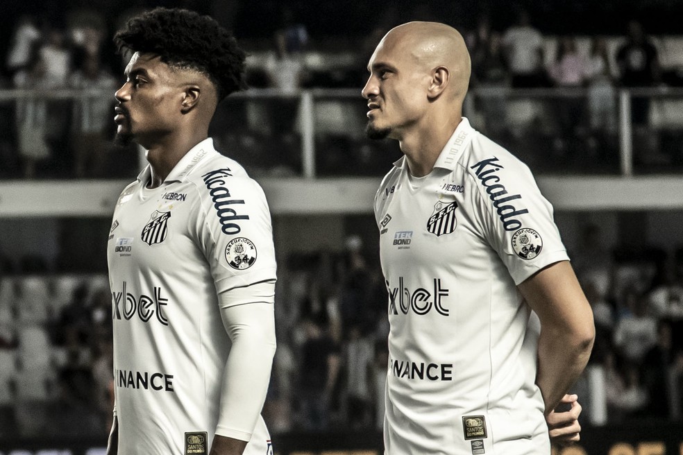 Eduardo Bauermann e Maicon são os pilares da solidez defensiva do Santos no Brasileirão  — Foto: Ivan Storti/ Santos FC 