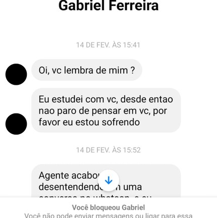 Mensagens enviadas por Gabriel Ferreira a Maria Rita via Facebook — Foto: Reprodução/Acervo pessoal
