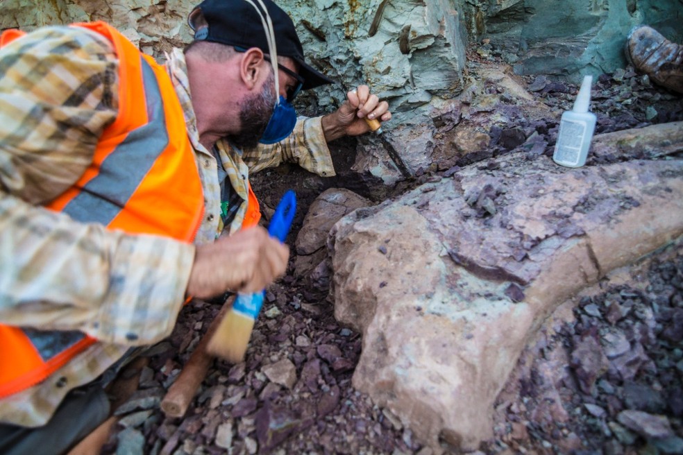 Pedaço de osso de dinossauro encontrado em Davinópolis, no Maranhão — Foto: Divulgação/Brado