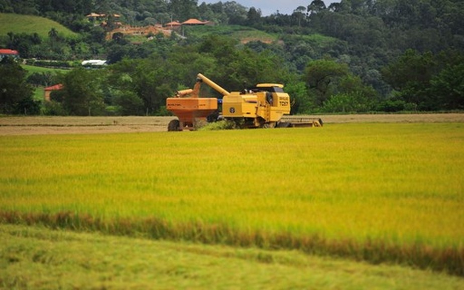 Colheita de arroz passou de 101 mil hectares no Rio Grande do Sul