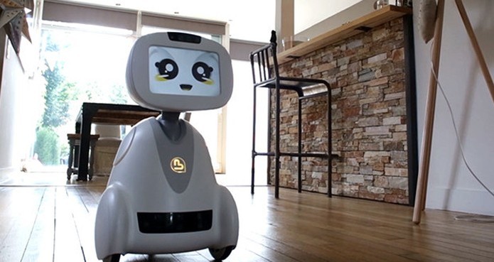 robô (Foto: Reprodução/Indiegogo)