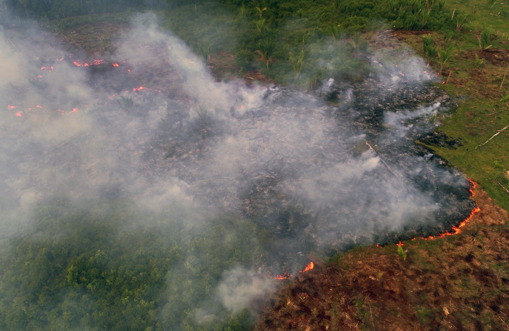 Incêndio é visto na Floresta Amazônica no distrito de Janaucá, em Careiro Castanho, a 113 km de Manaus, no dia 4 de agosto. — Foto: Chico Batata/AFP 