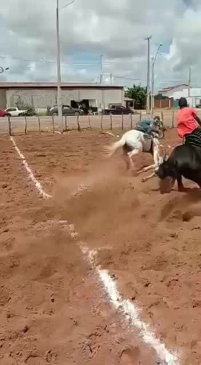 Vídeo mostra vaqueiro sendo arremessado na pista em Serra do Mel