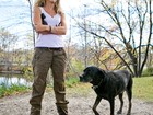 Cadela labrador salva dona de ataque de urso nos EUA