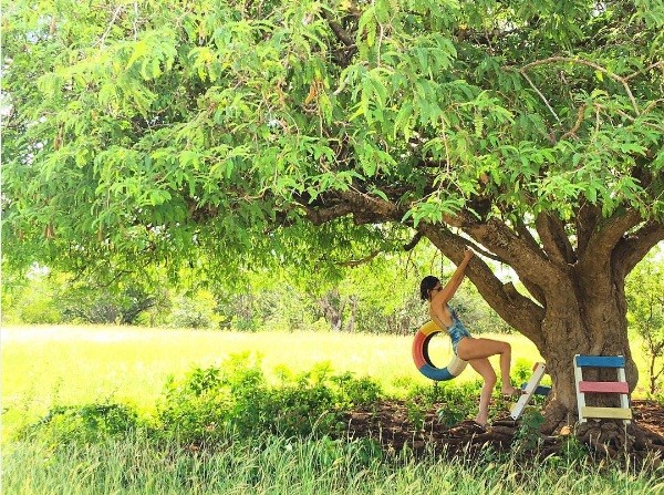 Fê Vasconcellos na árvore (Foto: Instagram)