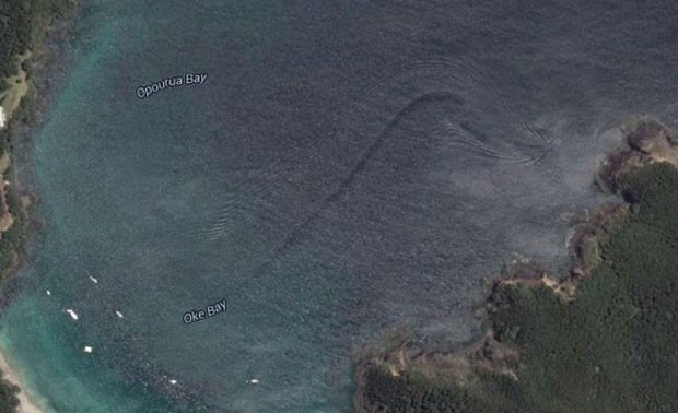 Criatura estranha no meio do mar gelado! #googlemaps #terror