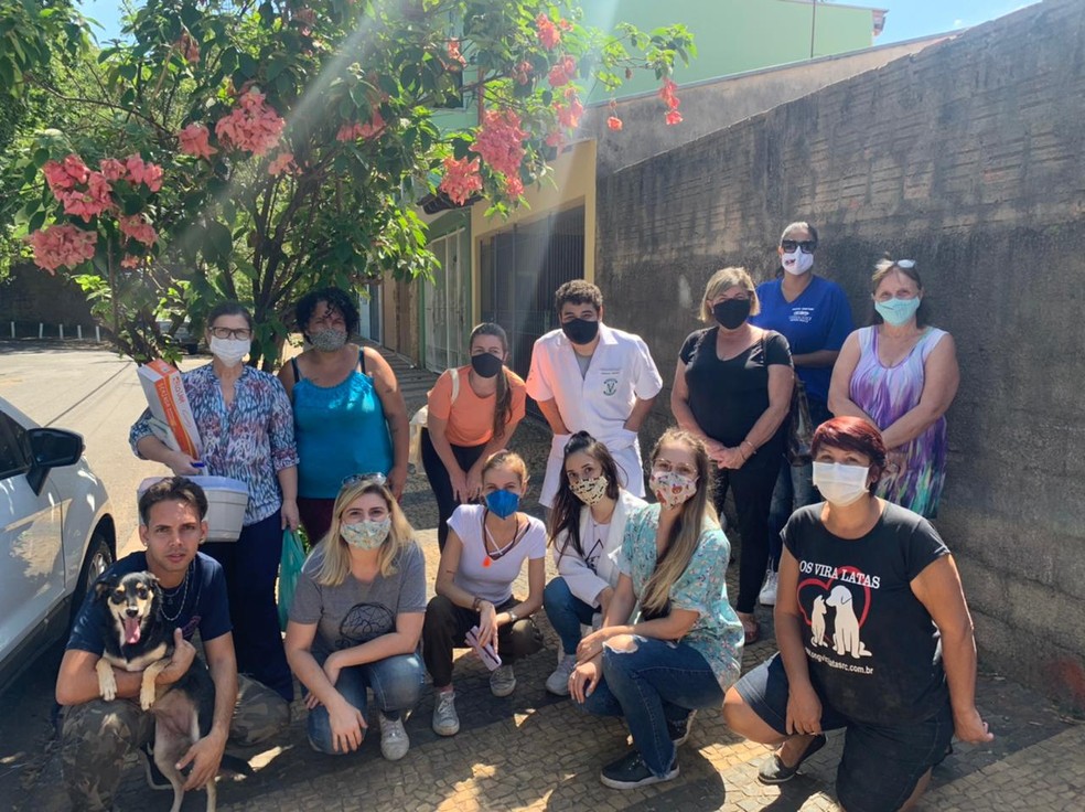 Protetores de animais de Rio Claro fazem campanha de adoção para cães que ficaram sozinhos após donos morrerem de Covid-19 — Foto: Giselle Pfeifer/Arquivo Pessoal