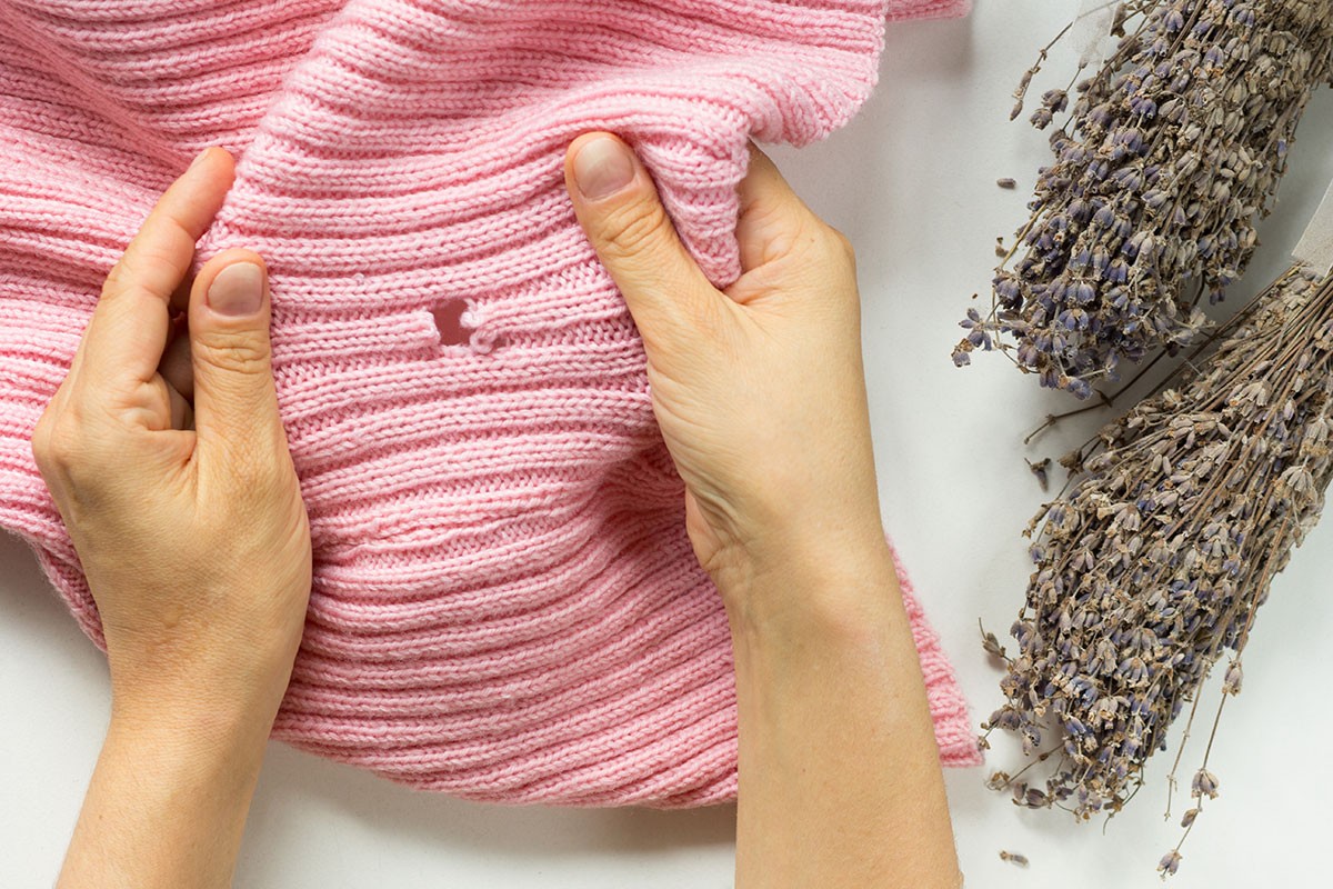 A traça-das-roupas se alimenta de tecidos orgânicos, como a lã, a seda e o algodão, além dos resíduos de suor que ficam contidos nessas fibras (Foto: GettyImages)