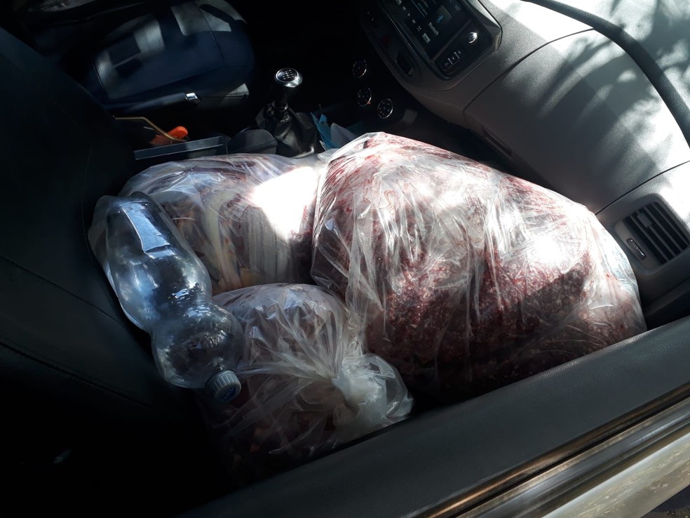 Quase meia tonelada de carne foi apreendida — Foto: IMA/Divulgação