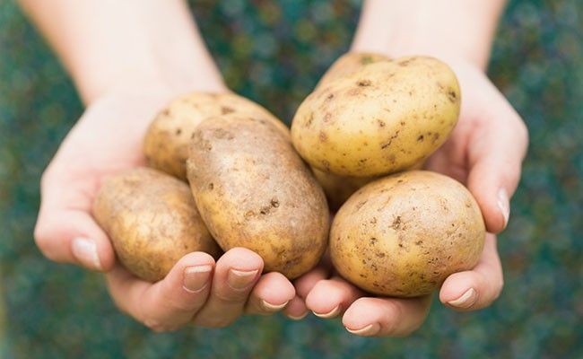 A batata pode resolver uma crise de birra? No caso desse pai, deu certo (Foto: Thinkstock)